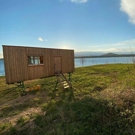 Villa Larix-Das Vollholzhaus Direkt Am Berzdorfer See Гёрлиц Экстерьер фото